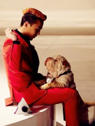 G-Dragon criticado por los internautas por presunta negligencia animal hacia sus perros en la pensión de su familia